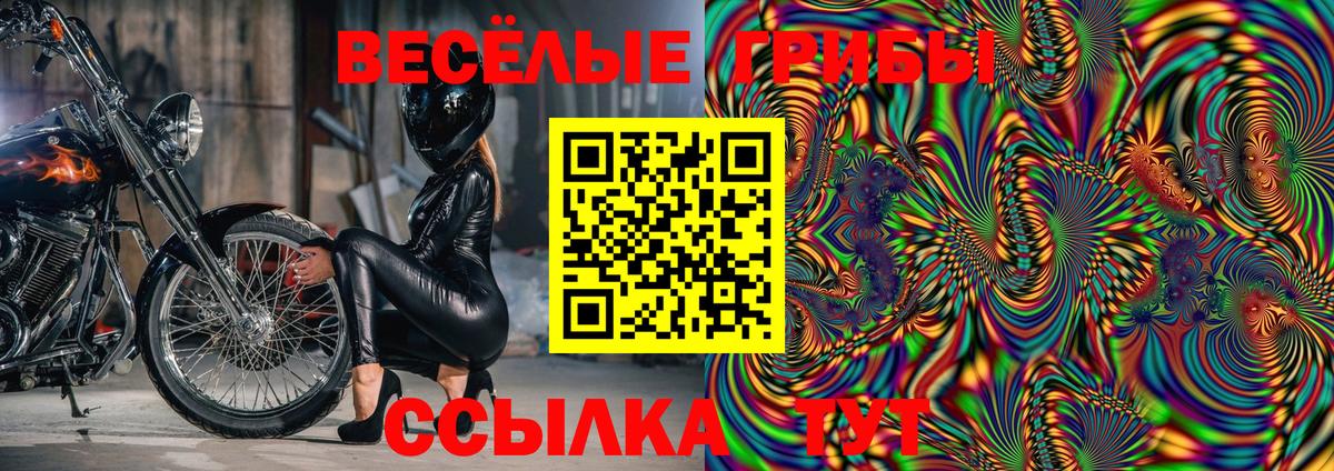 Заринск  Псилоцибиновые грибы MAGIC MUSHROOMS  Вход с VPN 